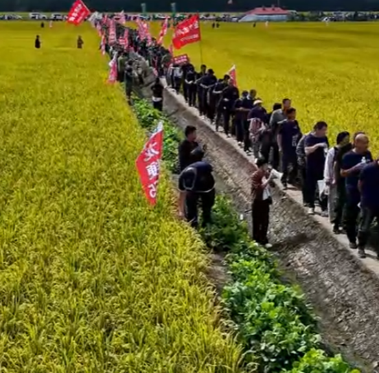 龍粳1823經(jīng)銷商分享現(xiàn)場